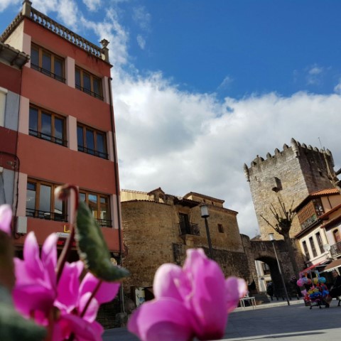 albergue