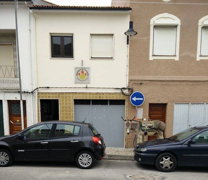 albergue